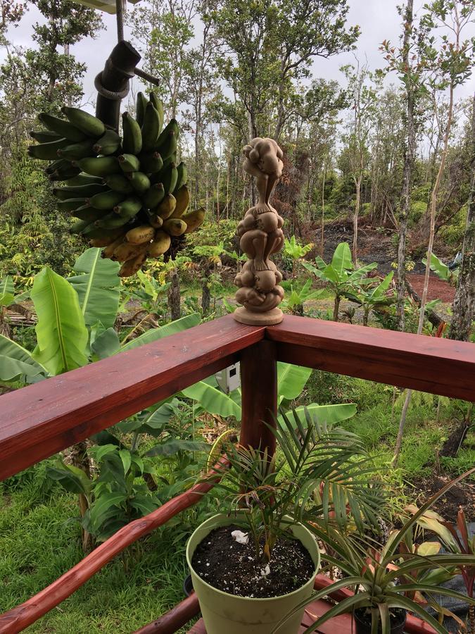 Eco & Eco Lodge