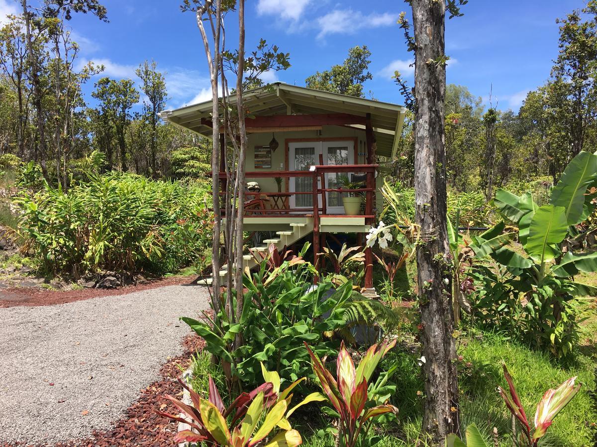 Eco & Eco Lodge *